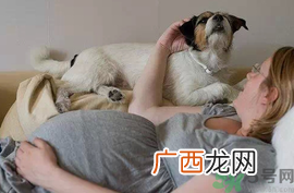 孕妇可以养狗吗？养狗对孕妇有影响吗？