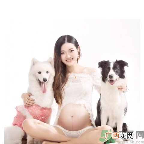 孕妇可以养狗吗？养狗对孕妇有影响吗？