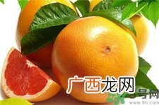 孕妇可以吃葡萄柚吗?孕妇吃葡萄柚好吗?