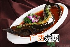 孕妇可以吃中华鲟吗?孕妇吃中华鲟好吗