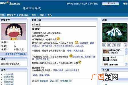 深入解析msn聊天软件 msn聊天是什么软件