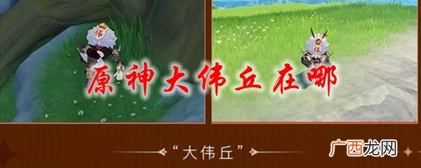 原神大伟丘分布的位置在哪