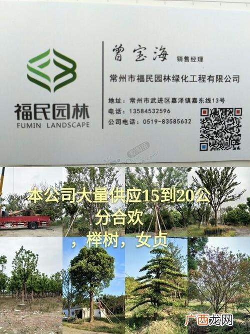 青岛园林绿化工程有限公司 上海岭秀园林绿化工程有限公司