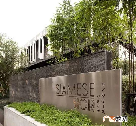 深圳市园林集团有限公司官网 深圳园林集团谢