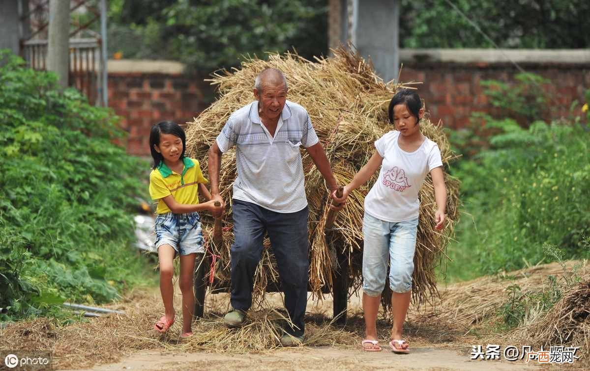 一文揭晓上门女婿含义 上门女婿什么意思