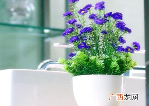 网上购买学生票的流程 怎样网上购买花卉