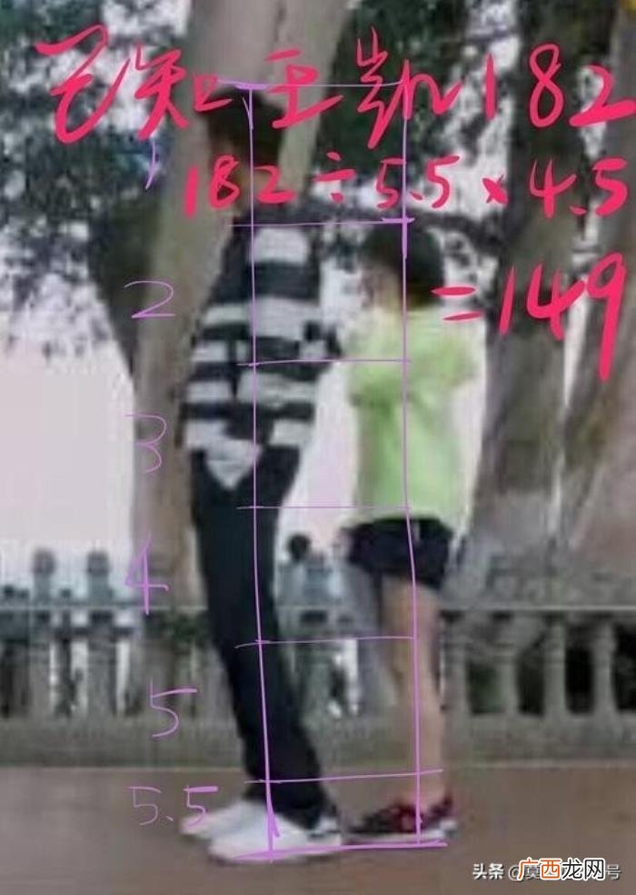 王子文与鞠婧祎身高，鞠婧祎身高也是谜