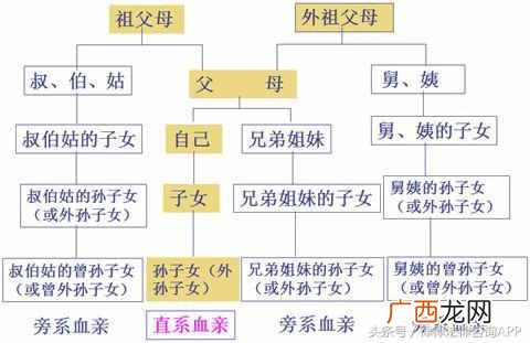 律师详解直系亲属关系 何为直系亲属关系