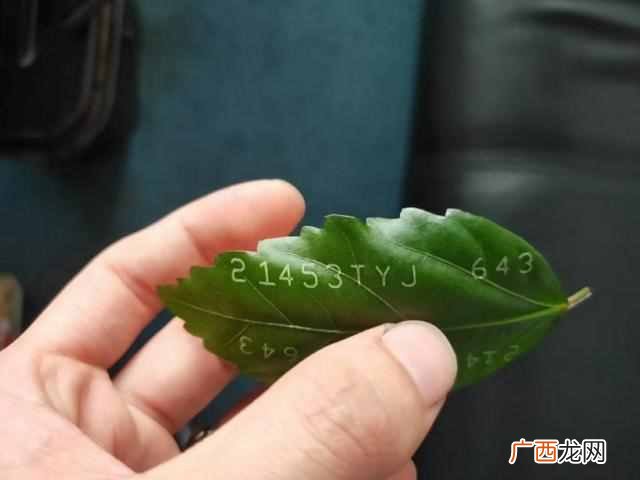 南京喷码机批发代理多少钱，南京喷码机厂家！