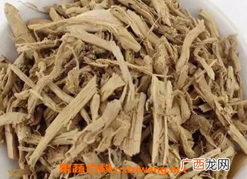 中药薏苡根的功效与作用及禁忌