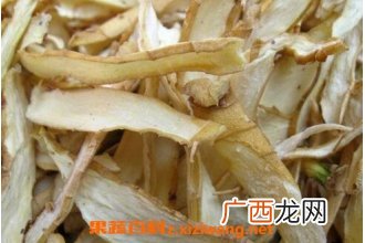 中药玉竹根的功效与作用