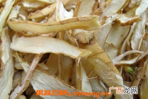 中药玉竹根的功效与作用