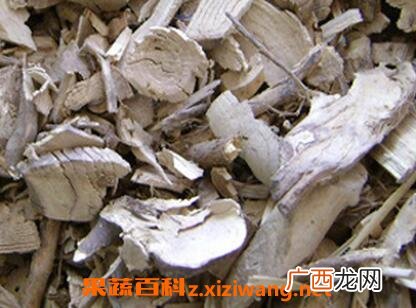 中药梧桐根的功效与作用