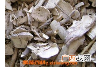 中药梧桐根的功效与作用