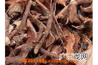 中药稔子根的功效与作用