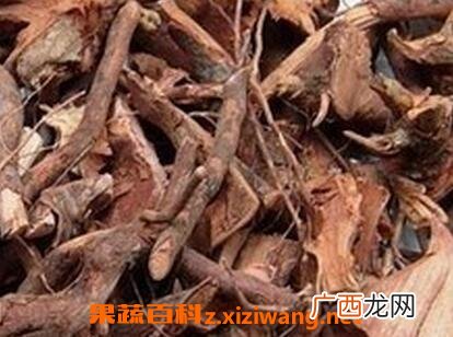 中药稔子根的功效与作用