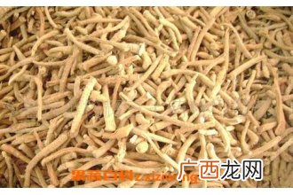 中药三七根的功效与作用