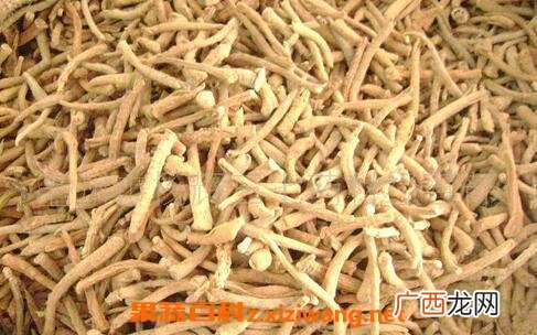 中药三七根的功效与作用