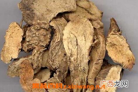 中药山豆根的功效与作用及禁忌
