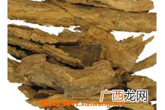 地骨皮的功效与作用及禁忌