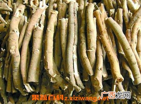 牡丹皮的功效与作用及禁忌