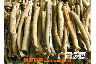 牡丹皮的功效与作用及禁忌
