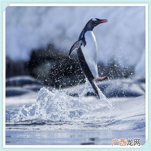 启维可以吃一辈子吗 启维怎么样慢慢停药