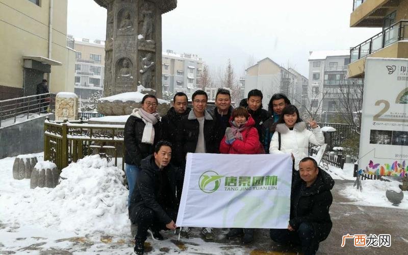 西安园林景观公司排名 西安园林景观石公司