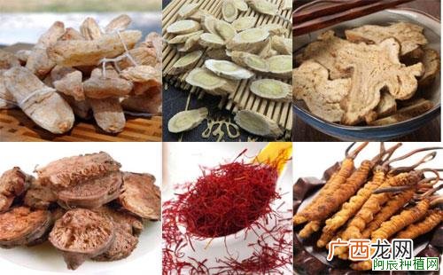 番红花怎么施肥，施什么肥？