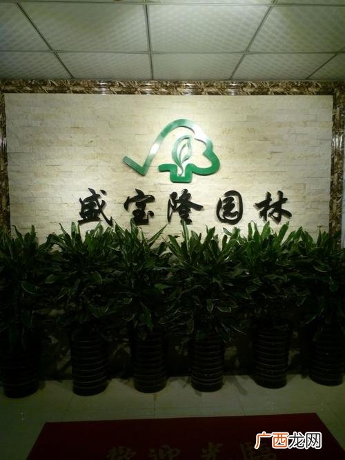 合肥园林景观设计公司排名 合肥园林景观 公司