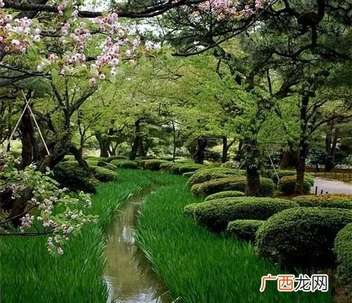 登录中国园林网 园林技术网