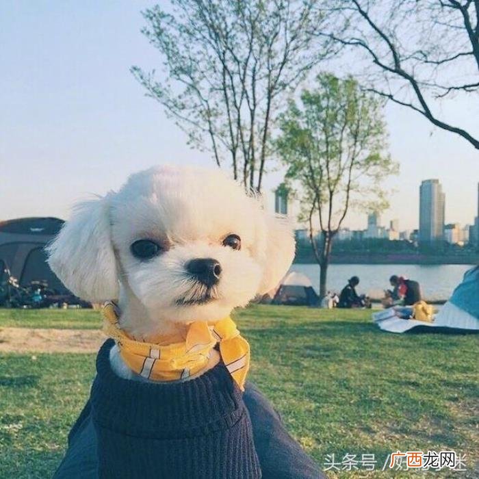 幸福个性签名，适合发个性签名的心情短语