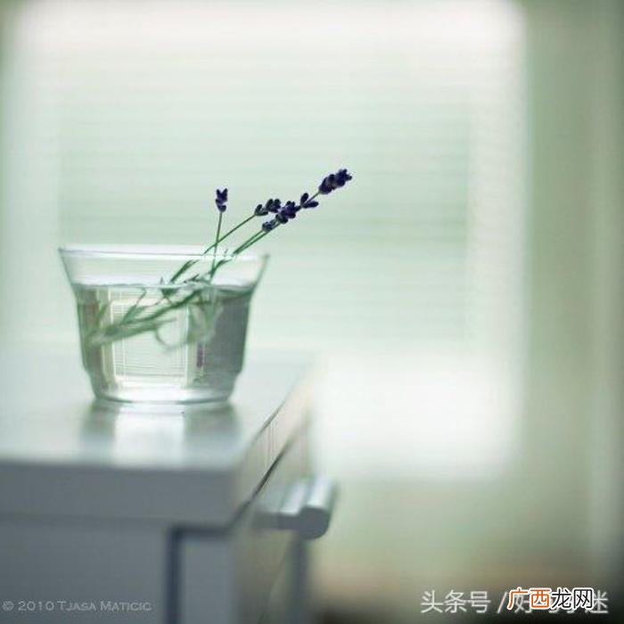 朋友圈里讽刺社会现实的句子 讽刺的签名