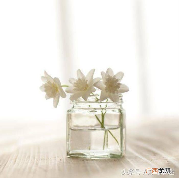 朋友圈里讽刺社会现实的句子 讽刺的签名