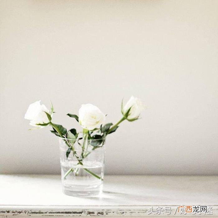 朋友圈里讽刺社会现实的句子 讽刺的签名
