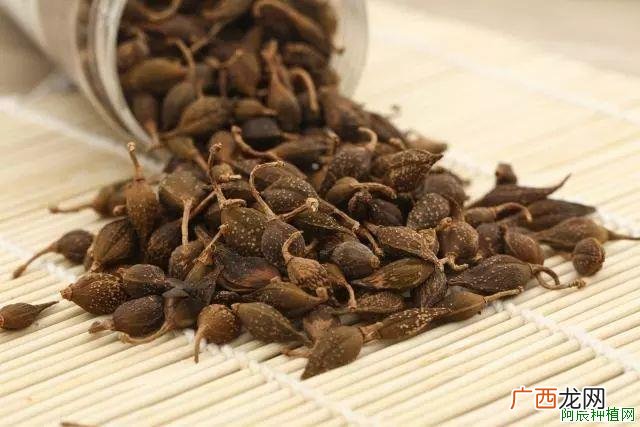 浙贝母黑斑病防治方法