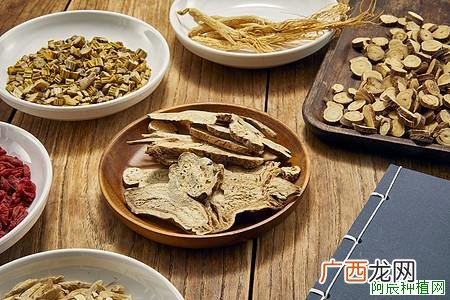 防治菊花白粉病新措施