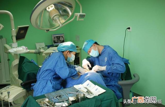 女生适合什么行业前景好 现在学什么行业和技术前景好女生