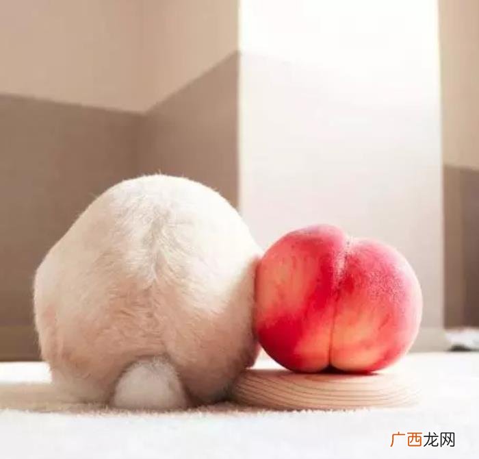 抖音很经典18个段子 抖音段子大全语录