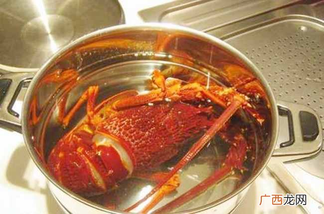 一文解说其做法与杀法 澳洲大龙虾的做法与杀法