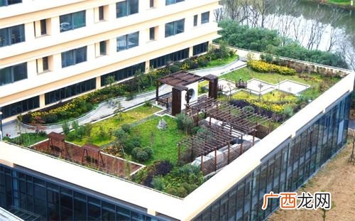绿化养护管理方案内容 深圳园林绿化管养规范