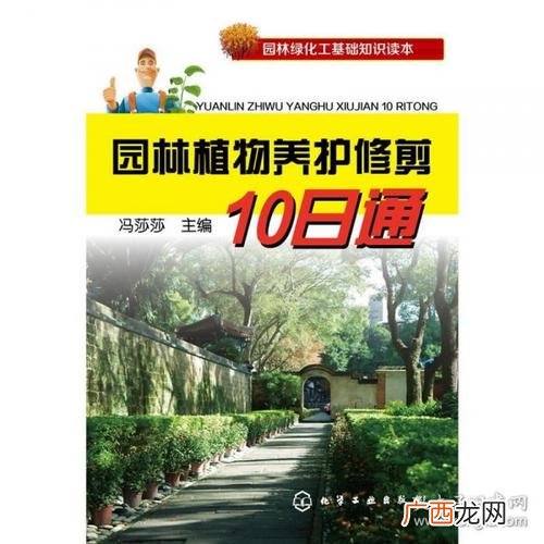 园林绿化管养规范 深圳市园林绿化管养规范1999