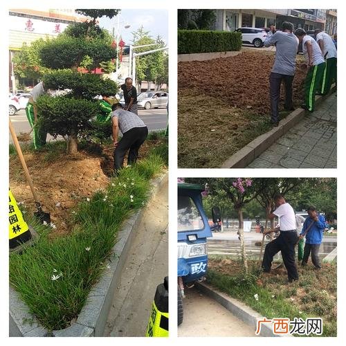 园林绿化管养规范 深圳市园林绿化管养规范1999
