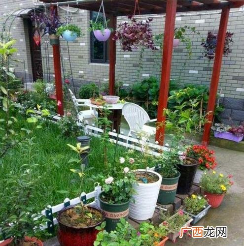 室内种什么植物最好 家庭园林种什么植物好