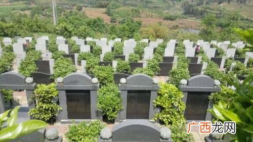 公墓陵园设计 公墓园林化