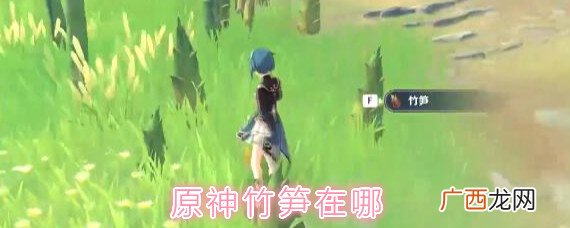 原神竹笋哪里多及竹笋具体采集路线