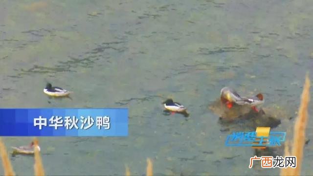 湖南吉优香业有限公司,吉优香业外加工可靠吗