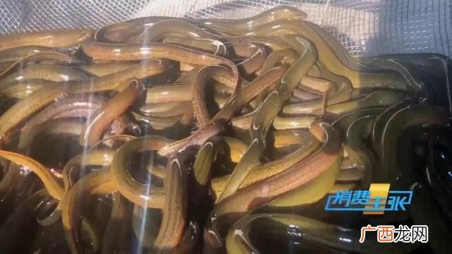 湖南吉优香业有限公司,吉优香业外加工可靠吗