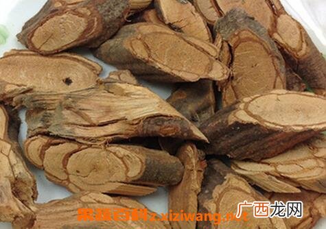 中药牛奶根的功效与作用