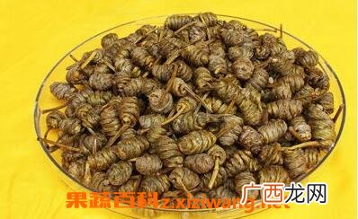 中药石斛泡水喝的功效与作用